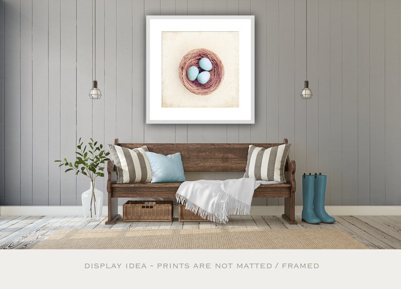 Farmhouse Photography Bird Eggs Print Country Artwork, Modern Rustic Decor, Robins Egg Blue Decor, Large Nature Prints, Cream Beige Brown image 4