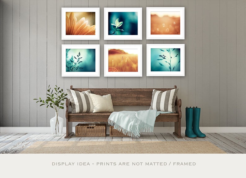 Teal Orange Photo Set, Six Photographs, aqua blue turquoise brown nature wall art autumn fall photography 6 print set botanical artwork 8x10 image 3