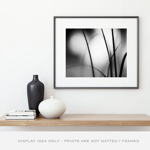 Photographie de la nature noire et blanche - Résumé d'œuvres d'art originales, décor moderne, art mural minimal, photographies d'art, décor de mur gris