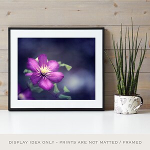 Dark Purple Flower Picture Indigo Art Print, Navy Wall Art, Large Nature Print, Fine Art Photography, Girls Bedroom Decor, Floral Photo image 7