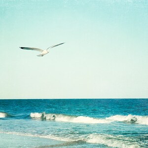 Seashore Photography beach house decor seagull bird blue aqua sea coastal wall art print nautical 11x14, 8x10 Photograph, Sea Breeze Print