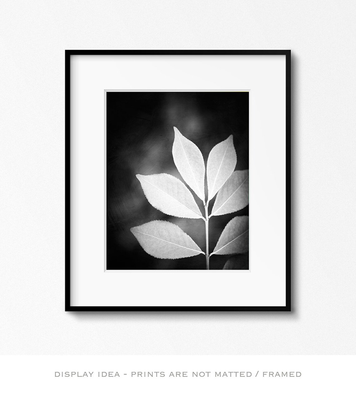 Black and White Nature Photography Vertical Wall Art Leaf Etsy