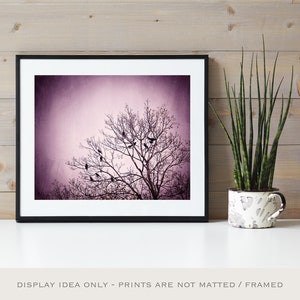 Purple Wall Art birds tree black dark wall art pink nature photo branches print modern decor 8x10 Photograph, Little Birds of the Night image 6