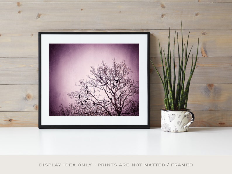 Purple Wall Art birds tree black dark wall art pink nature photo branches print modern decor 8x10 Photograph, Little Birds of the Night image 6