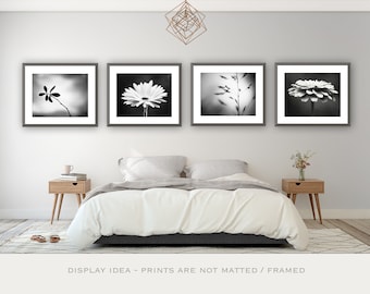 Black and White Photography Set - Four Photographs 4 - nature flower modern prints dark grey decor gray wall art botanical photo set artwork