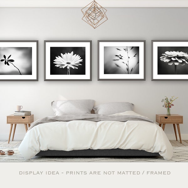 Black and White Photography Set - Four Photographs 4 - nature flower modern prints dark grey decor gray wall art botanical photo set artwork