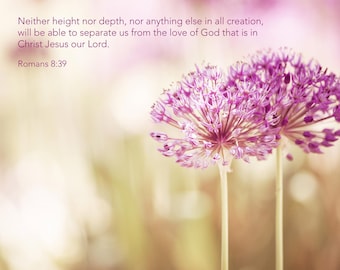 Romans 8:39 Bible Verse Pink Flower Photography Print - Scripture Nature Art Photo