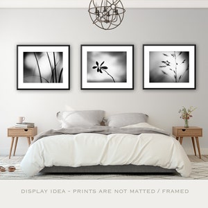 May include: Three framed black and white nature prints displayed above a bed. The prints feature close-up images of plants and grasses. The bedroom has a neutral color palette with wooden nightstands and a patterned rug.