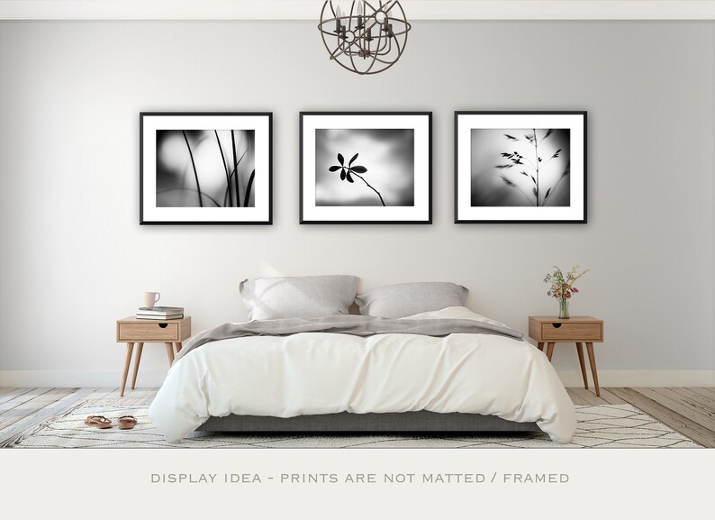 May include: Three framed black and white nature prints displayed above a bed. The prints feature close-up images of plants and grasses. The bedroom has a neutral color palette with wooden nightstands and a patterned rug.