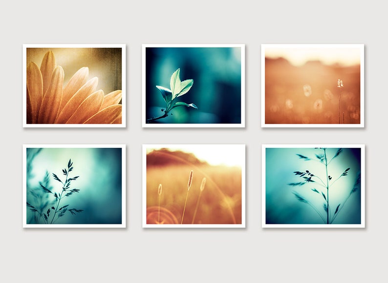 Teal Orange Photo Set, Six Photographs, aqua blue turquoise brown nature wall art autumn fall photography 6 print set botanical artwork 8x10 Prints