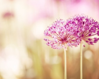 Pink Flower Photography Nature, Girl Nursery, Girls Bedroom Decor Women, Floral Art Print, Botanical Photo, Light Pink Beige Tan