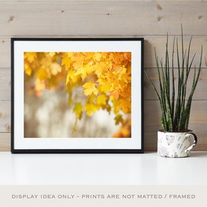 Autumn Leaves Photo, Autumn Artwork, Thanksgiving Decorations, Fall Leaf Art, Yellow Nature Print image 7