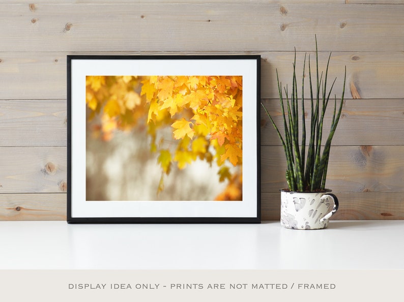 Autumn Leaves Photo, Autumn Artwork, Thanksgiving Decorations, Fall Leaf Art, Yellow Nature Print image 7