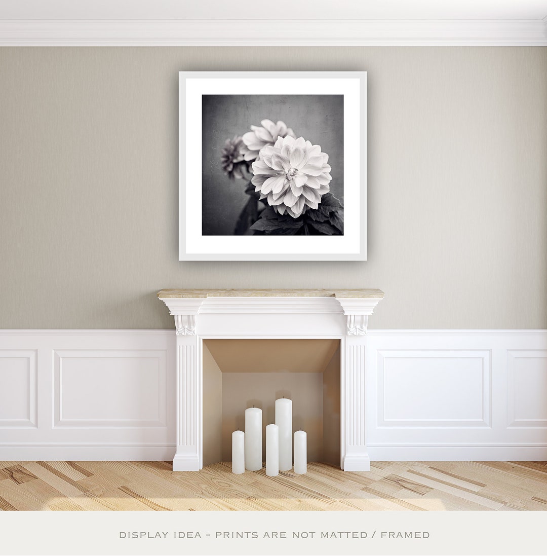 Prints of Flowers Dahlia Print Modern Flower Print Black & - Etsy