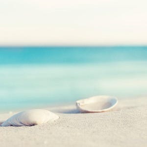 Puede incluir: Dos conchas blancas descansan en una playa arenosa con un oc&eacute;ano turquesa de fondo. Las conchas est&aacute;n enfocadas, con el oc&eacute;ano y el cielo suavemente borrosos. La escena evoca una sensaci&oacute;n de tranquilidad y la belleza de la naturaleza.