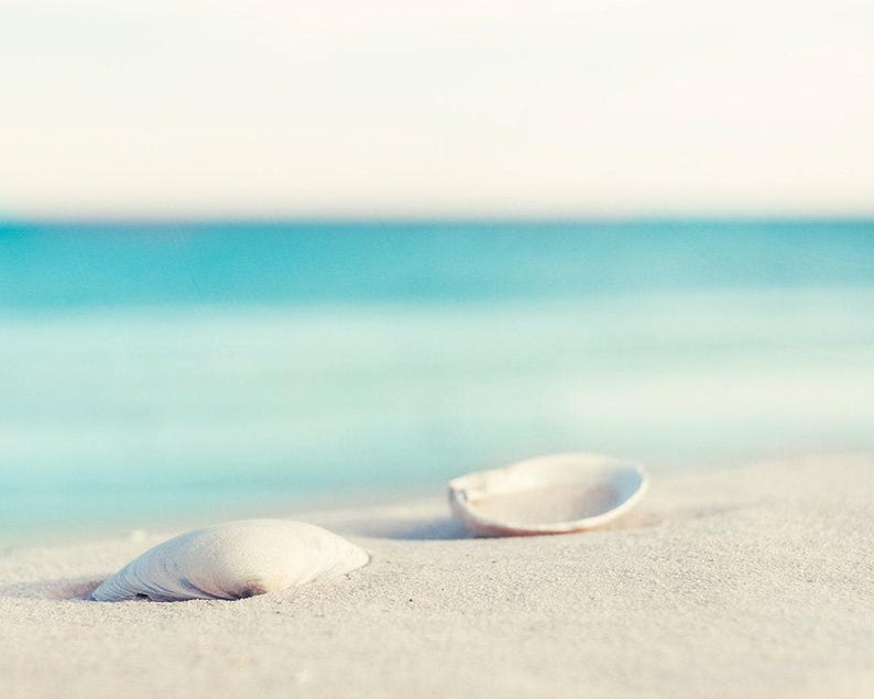 Puede incluir: Dos conchas blancas descansan en una playa arenosa con un oc&eacute;ano turquesa de fondo. Las conchas est&aacute;n enfocadas, con el oc&eacute;ano y el cielo suavemente borrosos. La escena evoca una sensaci&oacute;n de tranquilidad y la belleza de la naturaleza.
