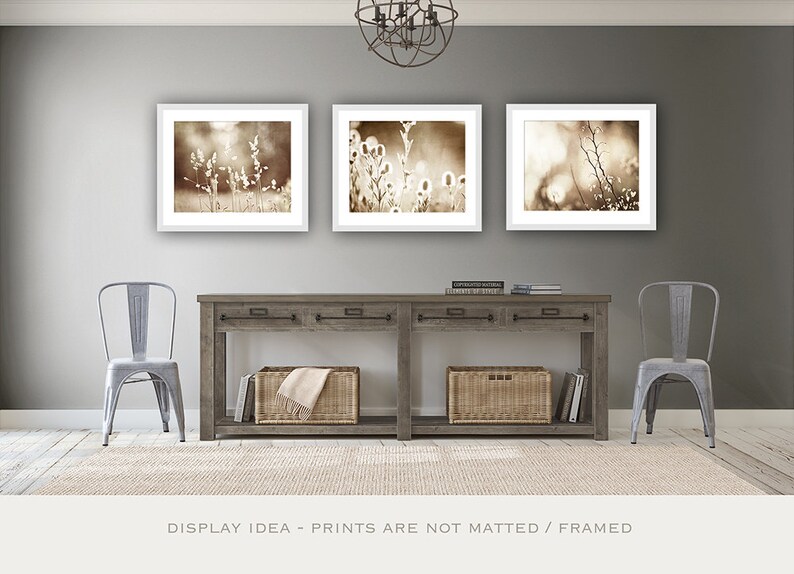 Modern Rustic Decor Botanical Print Set of 3 Nature Wall - Etsy