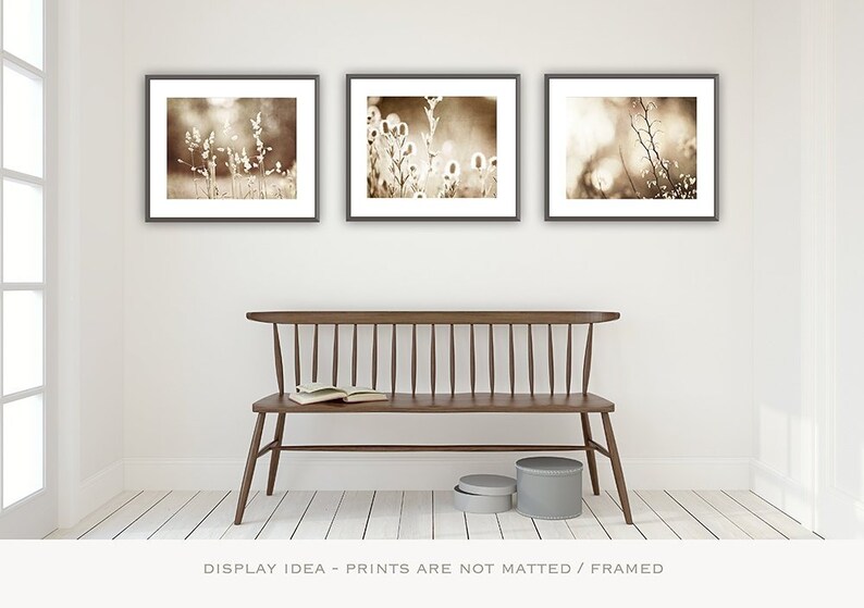 Modern Rustic Decor Botanical Print Set of 3 Nature Wall - Etsy