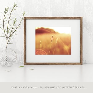 May include: A framed print featuring a warm, golden-toned landscape with tall grass and a bright sun. The print is set in a brown wooden frame with a white mat. A clear glass vase with greenery is to the left of the frame. The text at the bottom reads: DISPLAY IDEA ONLY - PRINTS ARE NOT MATTED / FRAMED.