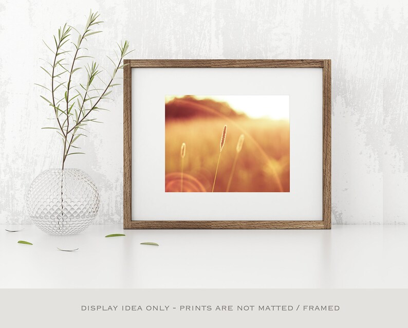 May include: A framed print featuring a warm, golden-toned landscape with tall grass and a bright sun. The print is set in a brown wooden frame with a white mat. A clear glass vase with greenery is to the left of the frame. The text at the bottom reads: DISPLAY IDEA ONLY - PRINTS ARE NOT MATTED / FRAMED.