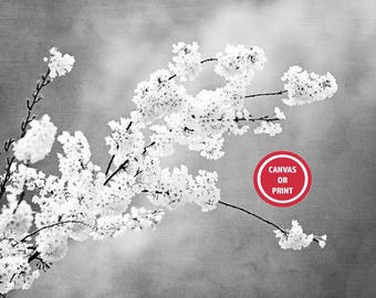 Black and White Flower Photography Print, Neutral Floral Blossoms Wall Art