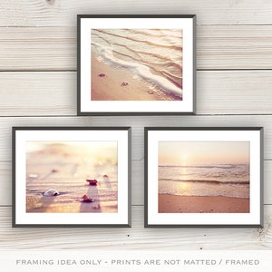 Beach Print Set Three Coastal Photographs ocean shells seashell beige neutral cream peach pink seashore sea shore wall art set image 4