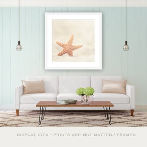 Starfish Wall Decor Seashell Print Large Beach Wall Art, Shabby Chic Beach Decor, Sea Shell Art, Coastal Wall Art in Neutral, Beige, Cream image 4