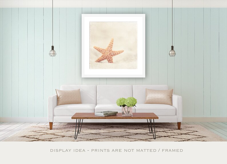 Starfish Wall Decor Seashell Print Large Beach Wall Art, Shabby Chic Beach Decor, Sea Shell Art, Coastal Wall Art in Neutral, Beige, Cream image 4