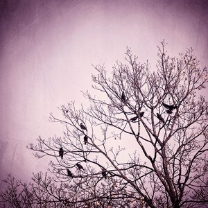 Purple Wall Art birds tree black dark wall art pink nature photo branches print modern decor 8x10 Photograph, Little Birds of the Night image 2