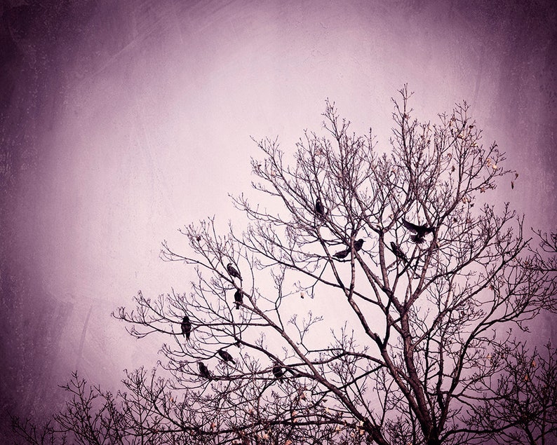 Purple Wall Art birds tree black dark wall art pink nature photo branches print modern decor 8x10 Photograph, Little Birds of the Night image 2