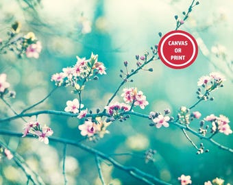 Teal Cherry Blossom Photography Print – Aqua Blue Pink Floral Wall Art