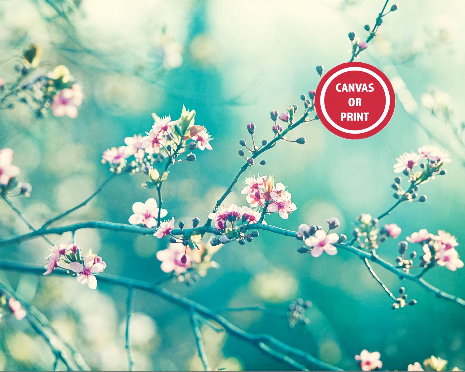 りえりえ様セットCreative Memories アルバム チェリーブロッサム Teal Pink Wall Art Photography Print or Canvas, Turquoise Aqua