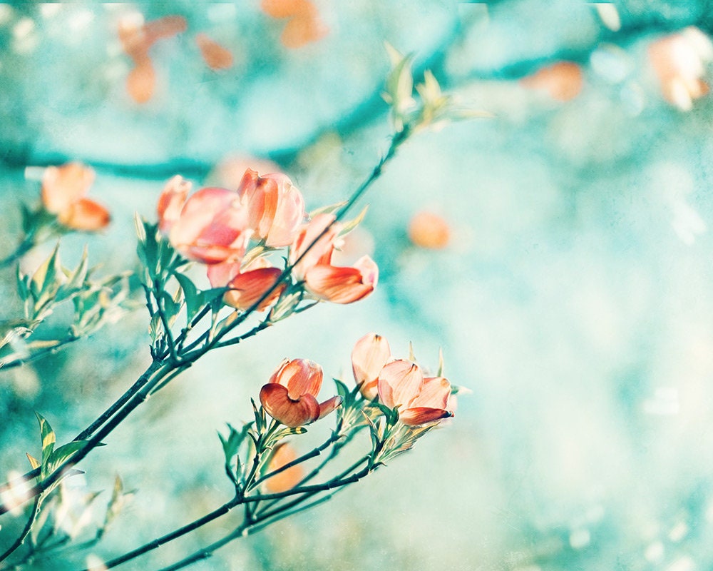 Coral, Turquoise Canvas Wrap - Teal Orange Flower Mint Peach