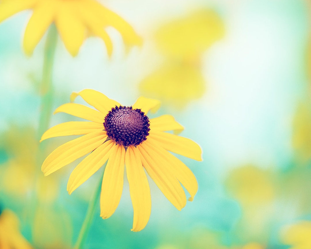 Yellow Art Mint Green Print Flower Photography, Teal Pictures