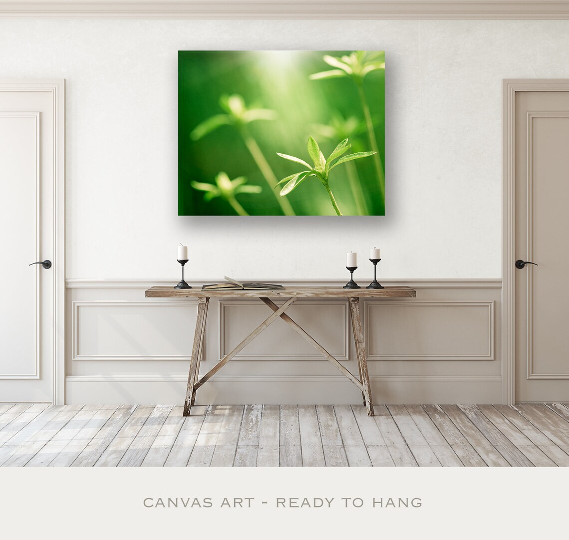 Botanical Art Modern Canvas Wall Art Prints Green Plant Wall Etsy