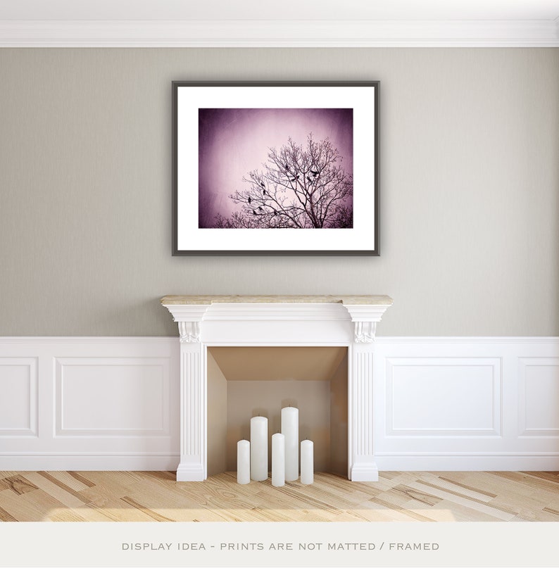 Purple Wall Art birds tree black dark wall art pink nature photo branches print modern decor 8x10 Photograph, Little Birds of the Night image 7