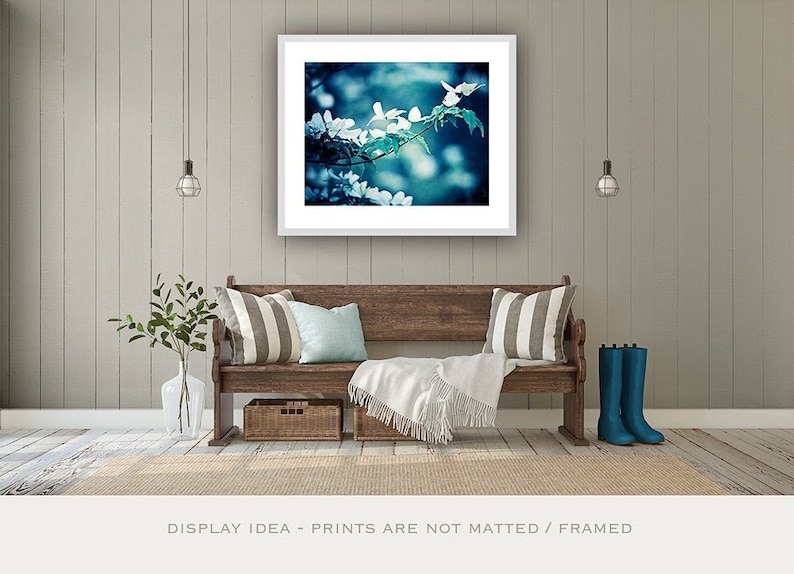 Navy Blue Wall Art Flower Photography Nature Fl Decor White Dogwood Print Bedroom Women Dark Botanical Photo