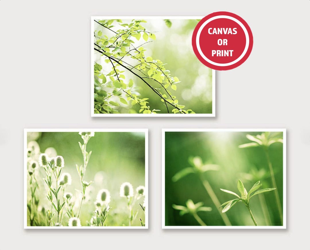Green Leaf Prints - Botanical Gallery Wall Art (set of 3) - Etsy