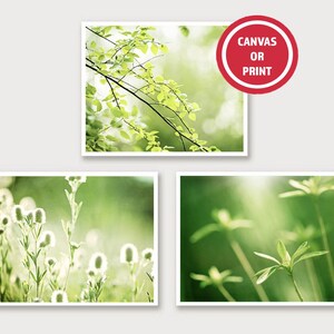 May include: Three framed nature prints featuring close-up images of green leaves, flowers, and plants. The top print shows a tree branch with bright green leaves. The prints are displayed against a light gray background. A red circle with the text "CANVAS OR PRINT" is in the top right corner.