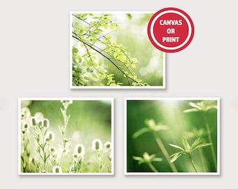 Set of 3 Prints, Green Leaf Photography, Leaves Wall Art, Nature Gallery Wall Art (Set of Three), Botanical Canvases Colorful Wall Picture