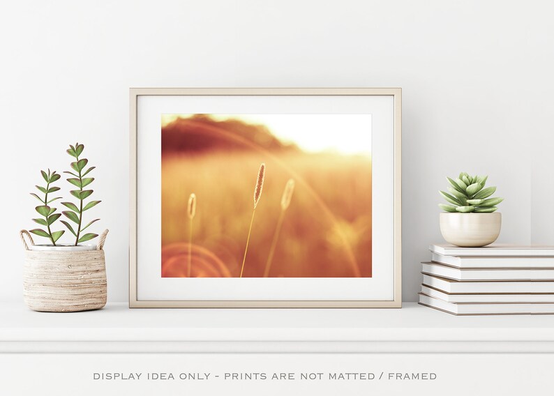 May include: Framed art print featuring a warm, golden-toned landscape with tall grass and a bright sun flare. The artwork is displayed on a white shelf with decorative plants, creating a serene and natural aesthetic.