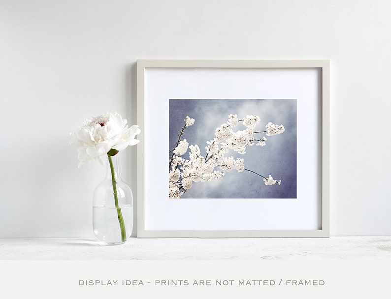 Floral Photography light steel blue white nursery grey gray branch spring wall print flower blossom nature photograph, Autograph of Angels image 5