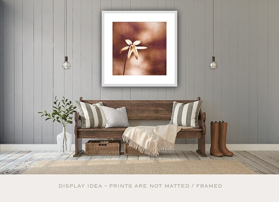 Rust Art Print - Modern Rustic Decor - Farmhouse Photography - Minimal Wall Art in Copper Brown