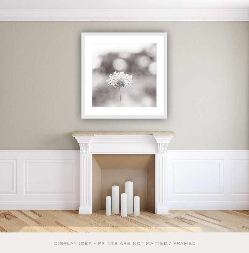 Above Bed Art Black and White Nature Photography Botanical Etsy