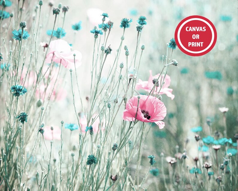 Teal Pink Flower Photography Print or Canvas Wall Art on Etsy