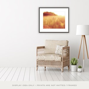 May include: A framed print featuring a sepia-toned landscape with tall grass and a setting sun. The print hangs above a wicker armchair with a patterned pillow. A floor lamp and potted plants complete the interior decor.