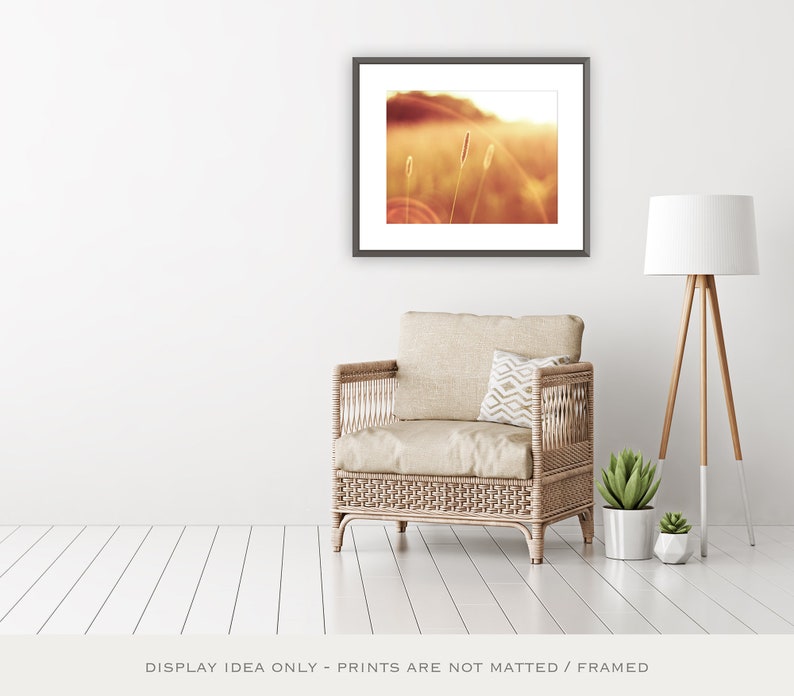 May include: A framed print featuring a sepia-toned landscape with tall grass and a setting sun. The print hangs above a wicker armchair with a patterned pillow. A floor lamp and potted plants complete the interior decor.