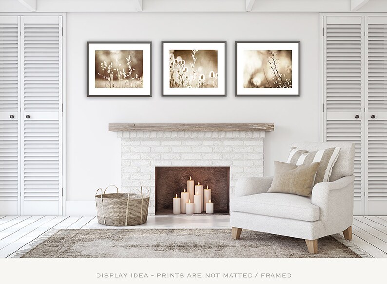 Modern Rustic Decor Botanical Print Set of 3 Nature Wall - Etsy