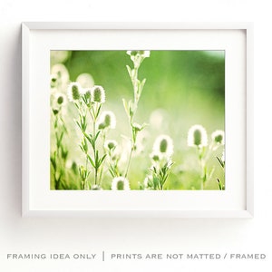 Pode incluir: Uma impress&atilde;o emoldurada com um close-up de delicadas flores silvestres brancas contra um fundo verde suave e desfocado. A imagem est&aacute; em uma moldura branca, com o texto "FRAMING IDEA ONLY | PRINTS ARE NOT MATTED / FRAMED" na parte inferior.