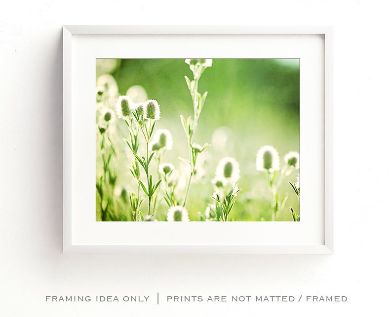Pode incluir: Uma impress&atilde;o emoldurada com um close-up de delicadas flores silvestres brancas contra um fundo verde suave e desfocado. A imagem est&aacute; em uma moldura branca, com o texto "FRAMING IDEA ONLY | PRINTS ARE NOT MATTED / FRAMED" na parte inferior.